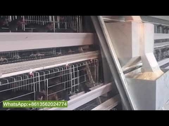 A Frame Layer Cage Poultry Battery Type Chicken Cage Use Automatic Feeding Equipment