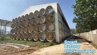 Куриный сарай для аккумуляторных батарей с экологическим контролем