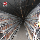 192 Chickens / Set H Type Battery Chicken Cage Chicken Farming Cage Automatic