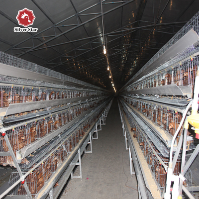 A Type Full Automatic Battery Chicken Cage Cold Galvanized For Farm