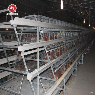 3 Tiers 4 Tiers Layer Chicken Battery Cage In Poultry Farm A Type