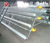 10000 Layer Farm Used Battery Chicken Cage 12 Weeks To 16 Weeks