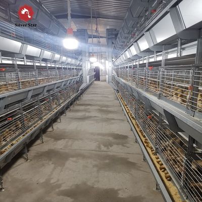 H-type Automatic Cages Intended For Raising Baby Poultry And Broiler Chickens