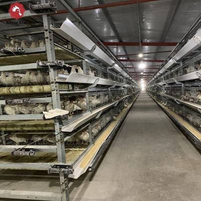 H-type Automatic Cages Intended For Raising Baby Poultry And Broiler Chickens