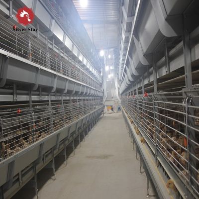 H-type Automatic Cages Intended For Raising Baby Poultry And Broiler Chickens