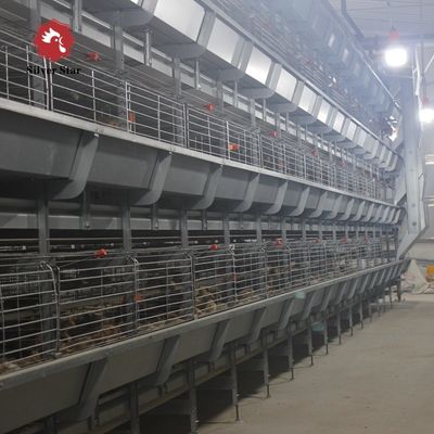 Fully Automatic H Type Broiler Chicken Cage System with Auto Feeding & Cleaning for Modern Poultry Farm