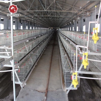 Layer Chicken Cage Poultry Farming Equipment 96 Birds 120 Birds