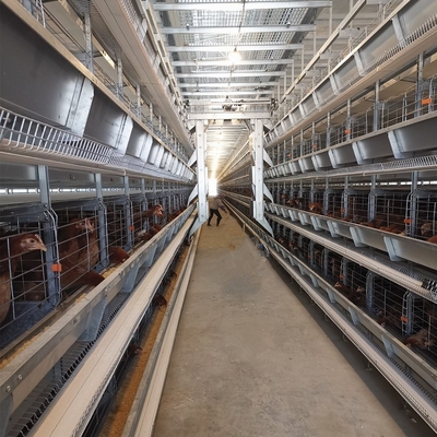 Galvanized Broiler Battery Chicken Cage Poultry Farm Equipment For Meat Chicken