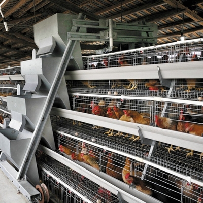 Hot Dip Galvanized Egg Layer Chicken Cage A Type Battery 96 Birds 128 Birds Poultry Farm