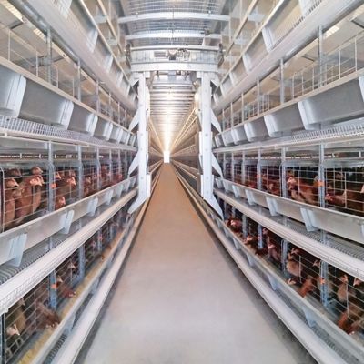 Hot Galvanized Poultry Farm Laying Hens Equipment System Automatic Battery Layer Chicken Cage