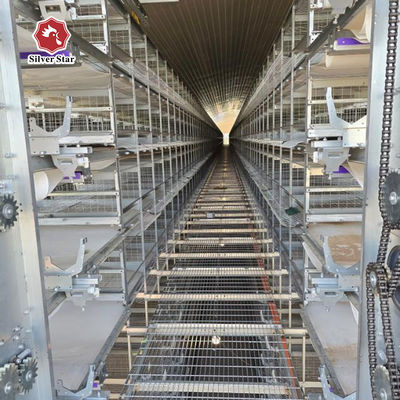Hot Dip Galvanized Steel High Capacity Poultry Automatic Feeding & Drinking System for Layer Chicken Cage