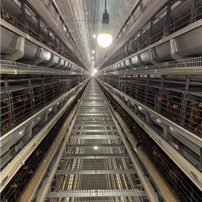 Layer Chicken Cage The Optimal Solution for Modern and Profitable Poultry Farming