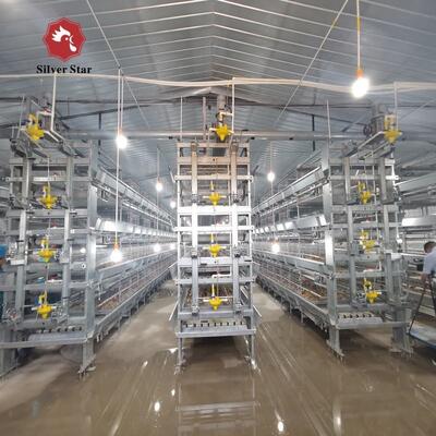 Design Chicken House Laying Coop H Type Broiler Cages Feeder Battery Cage System Egg Hen Meat Layer Breed Poultry Farm Equipment