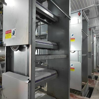 H Type Layer Cage System Supplier for Indonesia Poultry Farms Automatic H Type Layer Cage