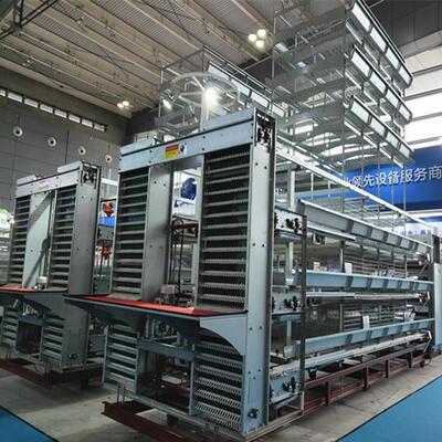 Automated H-Type Layer Poultry Farm Cage System with Feeding Line