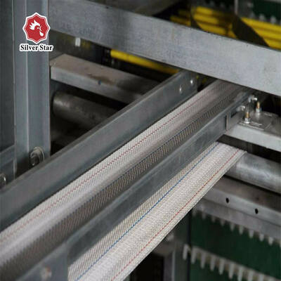 Automatic Egg Collection Hot-Dip Galvanized Battery Chicken Cage with Computerized Control System for Poultry Farming