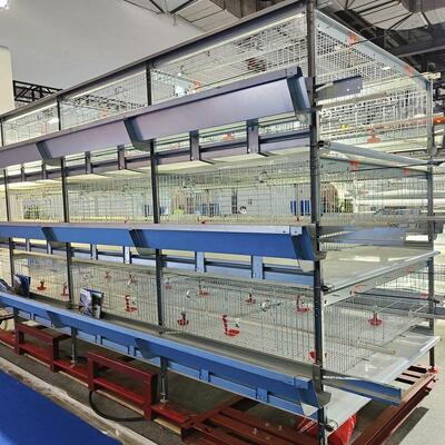 Poultry Cage/cages for Laying Hens Used/chicken Breeding Equipment