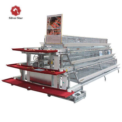 Automatic Egg Laying Battery Chicken Cage 3/4 Tiers for 120 Chickens Poultry Farm Cage