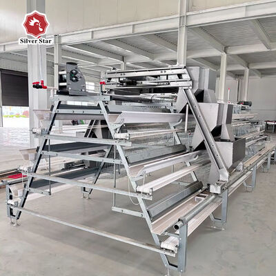 Hot Dip Galvanized Steel High Capacity Poultry Automatic Feeding & Drinking System for Layer Chicken Cage
