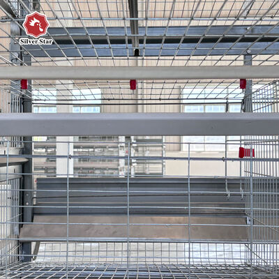 Battery Chicken Cage Multi Tier Layer Cage with Automatic Manure Removal and Egg Collection Systems for Poultry Farm Management