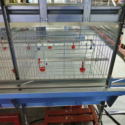 Automated H-Type Broiler Cage System Hot-Dip Galvanized High-Density Commercial Poultry Farming Equipment