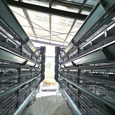 H-Type Automatic Battery Cage System with Hot Dip Galvanizing and Stackable Modular Design for Commercial Poultry Farming