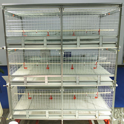 Automated H-Type Broiler Cage System Hot-Dip Galvanized High-Density Commercial Poultry Farming Equipment