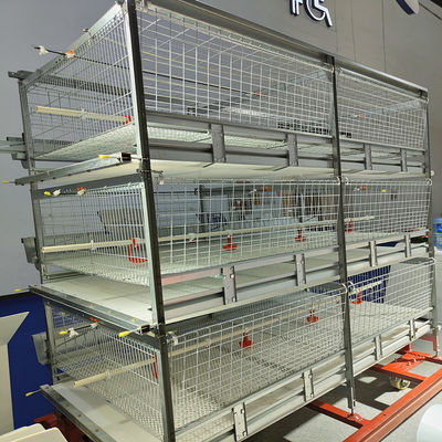 Automated H-Type Broiler Cage System Hot-Dip Galvanized High-Density Commercial Poultry Farming Equipment