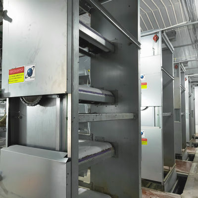 Automated H-Type Meat Broiler Cage System with Hot-Dip Galvanized Steel for High-Density Poultry Farming