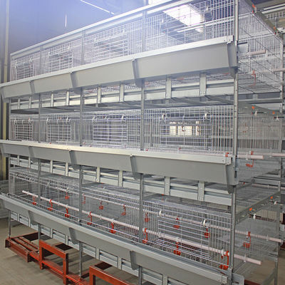 H Type 500cm2 Meat Chicken Cage , ISO9001 3/4 Tiers Broiler Poultry Equipment