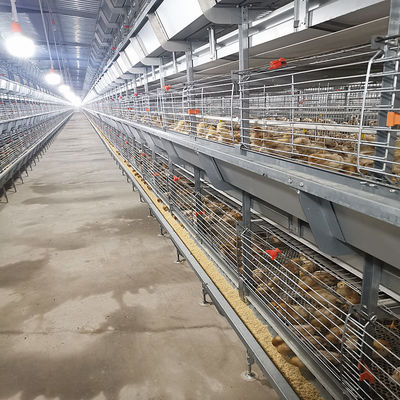 Q235 Battery Cages Laying Hens Chicken Farming Materials A Type