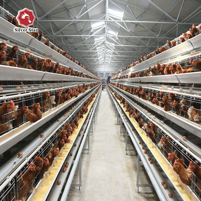 Poultry Farm Layer Cage H Type Full Automatic Chicken 6Tiers