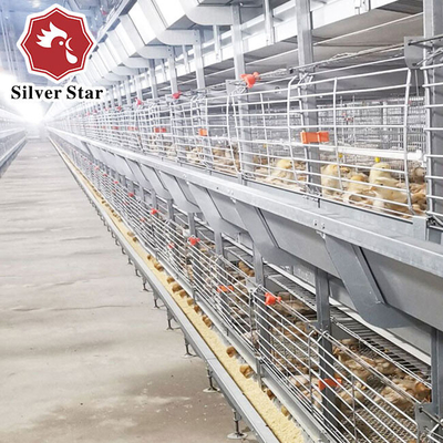 H Type Hot Galvanized Chick Brooder Cage 5 Tiers 170 Birds