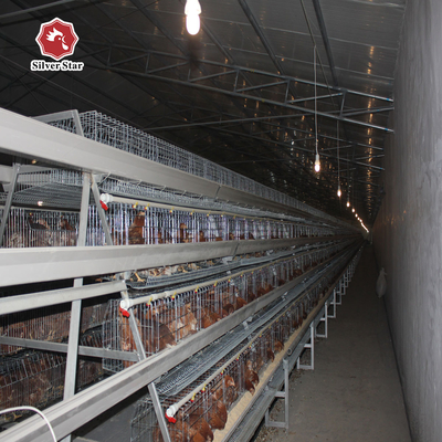 Wire Mesh Hot Galvanize A Layer Battery Chicken Cage Of Poultry Farm