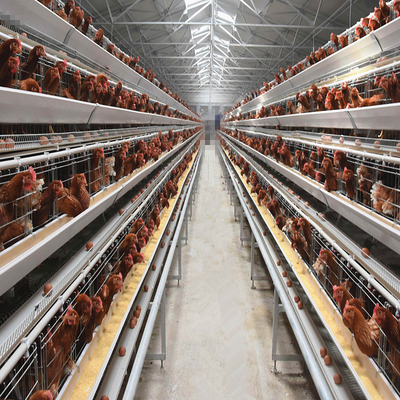 4 Tiers Egg Laying Chicken Cage Anti Corrosion Double Hot Galvanized 3MM