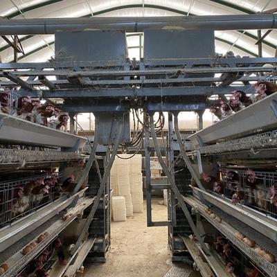 Птица H Тип 3 Ярус 4 Яруса Куры-несушки Курица-несушка Клетка для цыплят