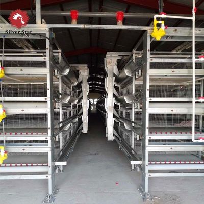 H-type Automatic Cages Intended For Raising Baby Poultry And Broiler Chickens