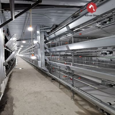 Fully Automatic H Type Broiler Chicken Cage System with Auto Feeding & Cleaning for Modern Poultry Farm