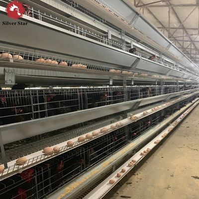 Клетка-несушка типа H с горячим цинкованием и автоматической подачей для крупных птицефабрик