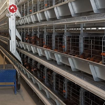 Система автоматической клетки с батареей для коммерческих птицеводческих хозяйств типа H - горяче-поташенный оцинкованный, автоматизированный сбор яиц, срок службы 15-20 лет