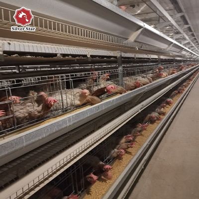 Система клеточных батарей для кур типа H | Автоматическое оборудование для птицеводства для коммерческих птицеферм
