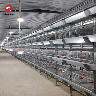 H Type Broiler Cage System with Hot Dip Galvanizing for High Density Breeding and Automatic Feeding