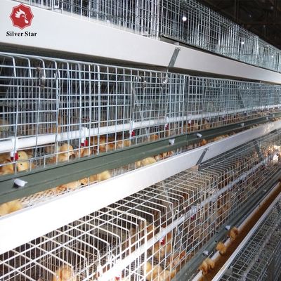 Система автоматизированной клетки бройлеров типа H для коммерческих птицеводческих хозяйств
