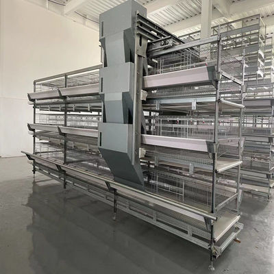 Hot-Dip Galvanized Layer Chicken Cage with Automatic Feeding, Egg Collection, and Manure Removal System