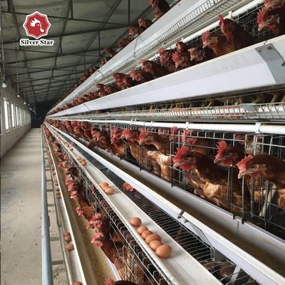 3-ярусная / 4-ярусная клетка для кур типа А с автоматической подачей корма и системой сбора яиц из горячеоцинкованной стали