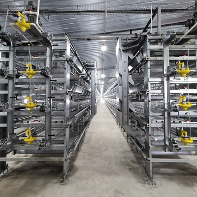 Оборудование для птицеводства тип H Автоматическая система батарея Бройлер Куриная клетка