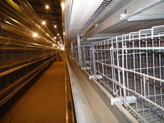 Hot Galvanized Poultry Farm Laying Hens Equipment System Automatic Battery Layer Chicken Cage