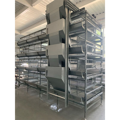 H-Type Automatic Layer Battery Cage System | Henan Silver Star