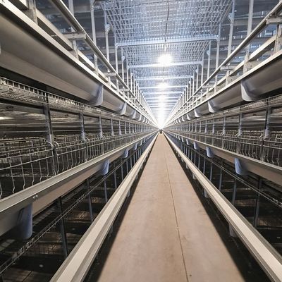 H-Type Layer Battery Cage Hot-Dip Galvanized Full Automation High-Density Breeding Poultry Farming Equipment
