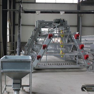 A-Type Stacked Broiler Cage with Hot-dip Galvanized Steel 3-5 Layers Customizable Full Automatic Poultry Equipment